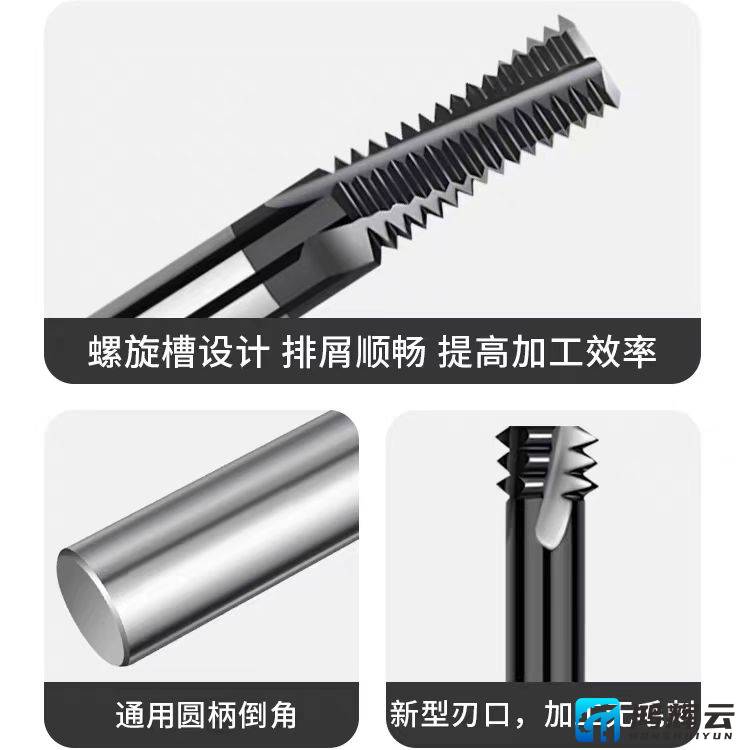 微信图片_20250505184743.jpg